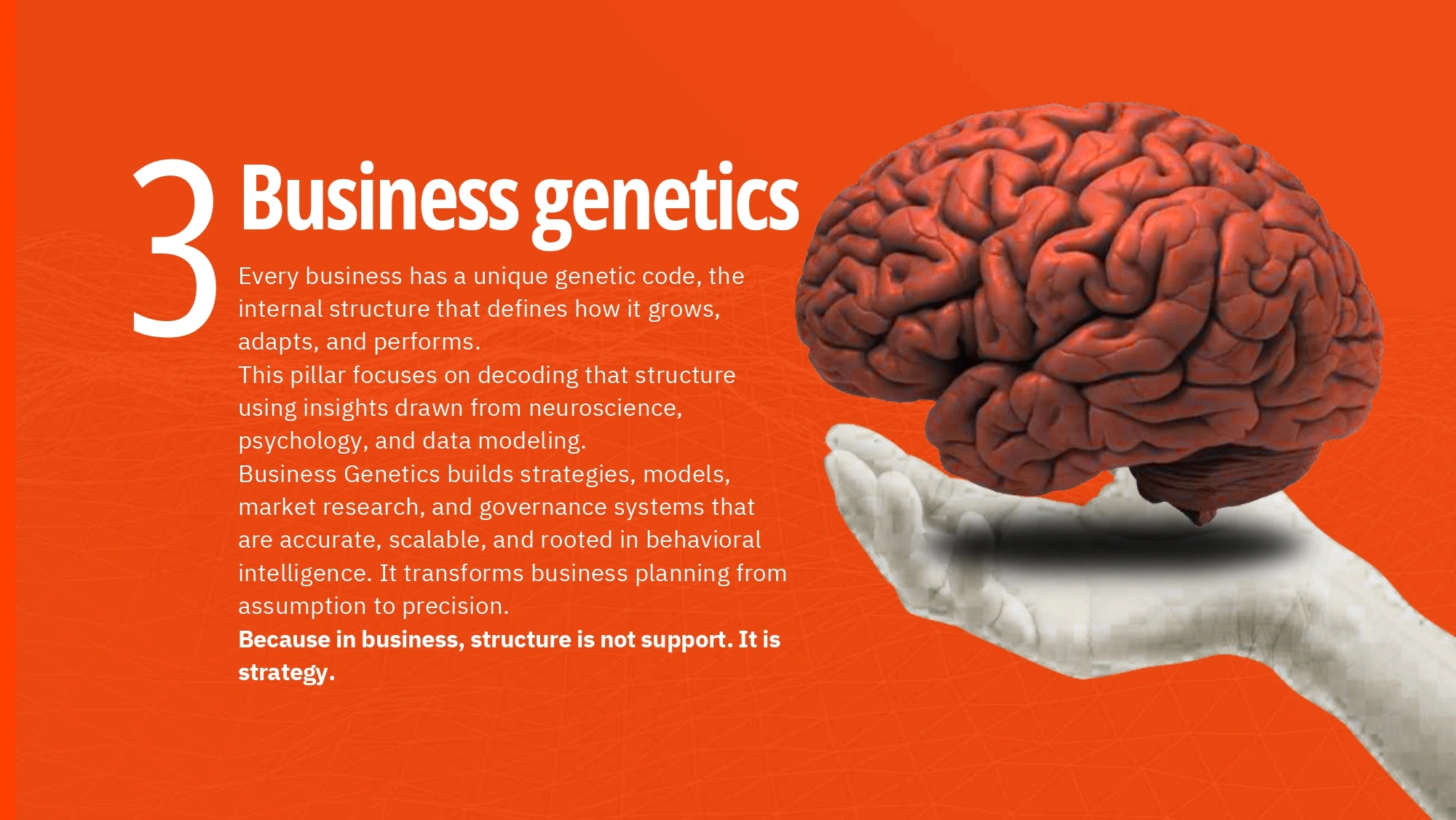 Sparkitt Culture Photo 11