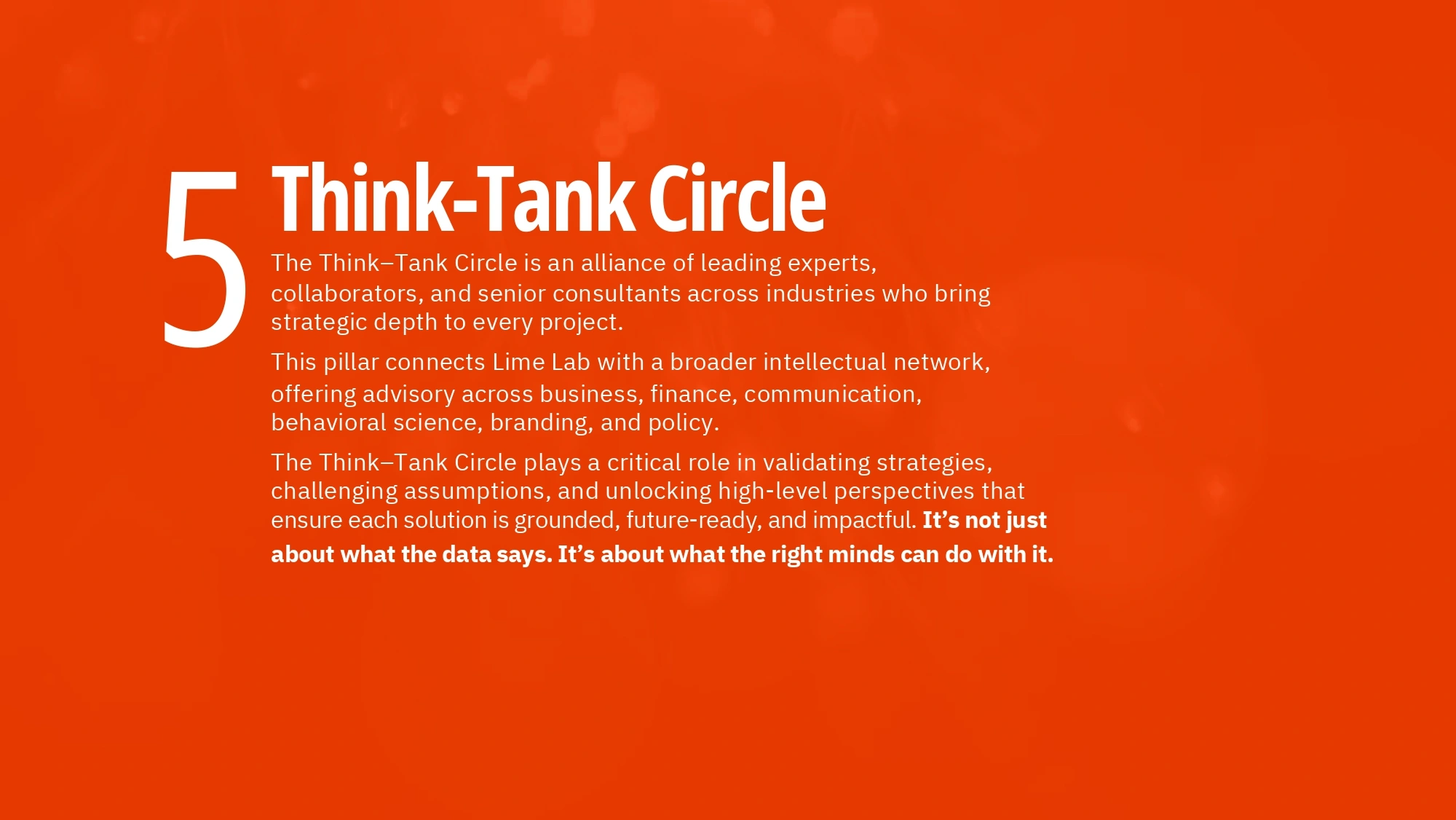 Sparkitt Culture Photo 13