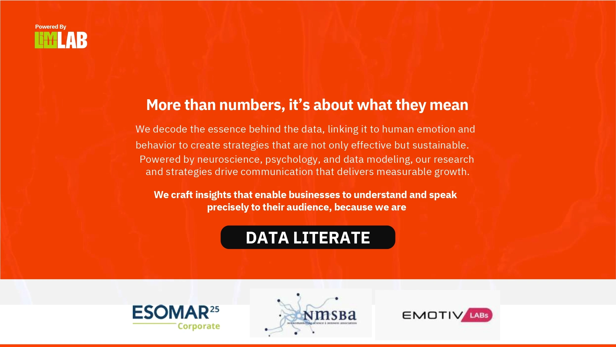 Sparkitt Culture Photo 2