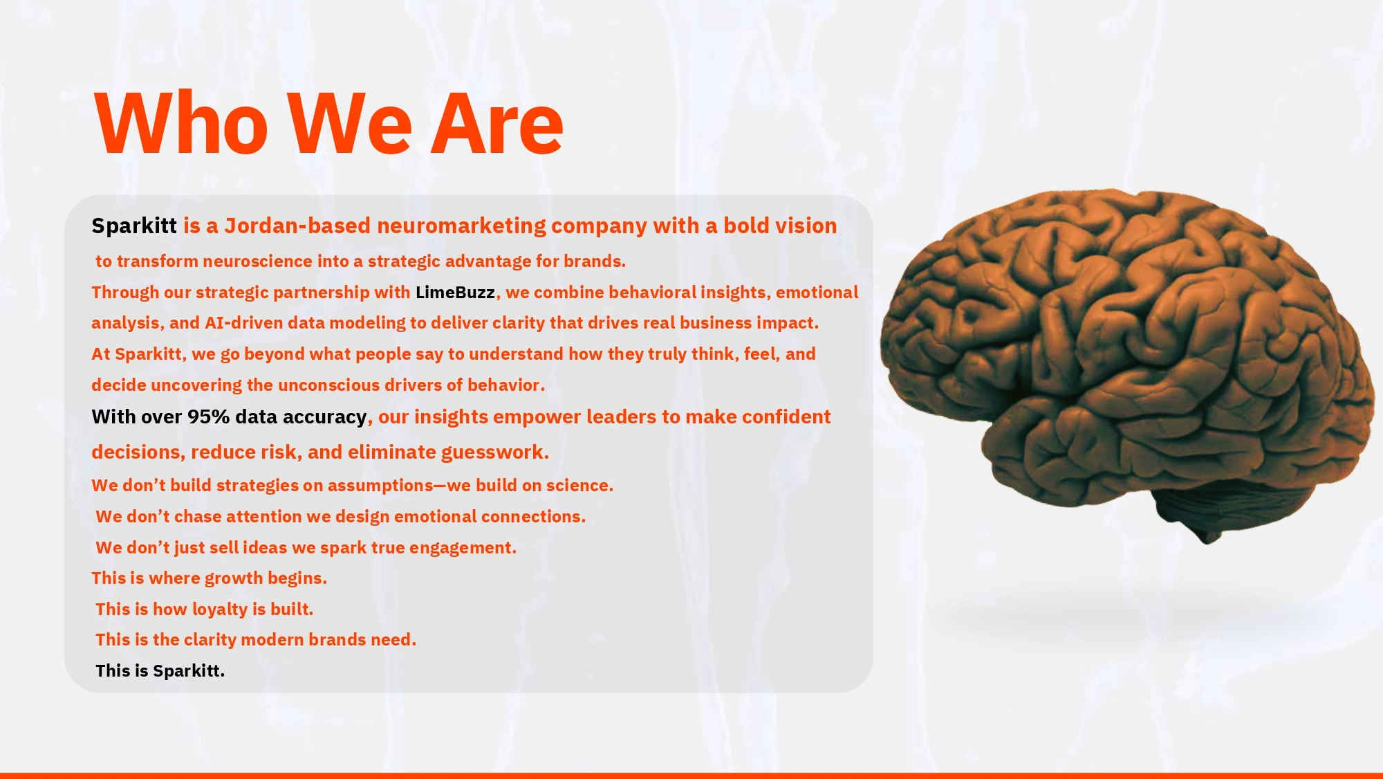 Sparkitt Culture Photo 3