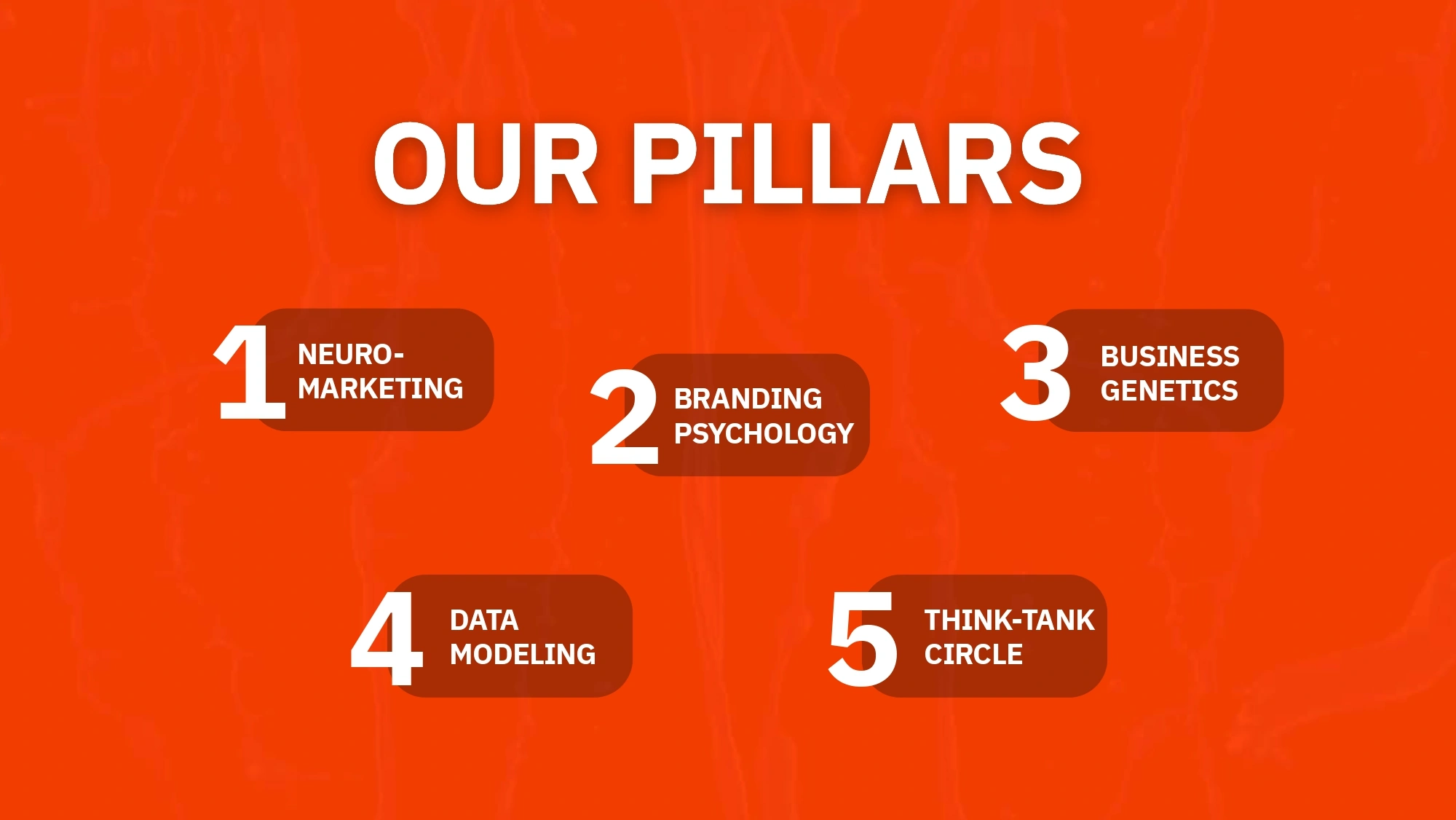 Sparkitt Culture Photo 4