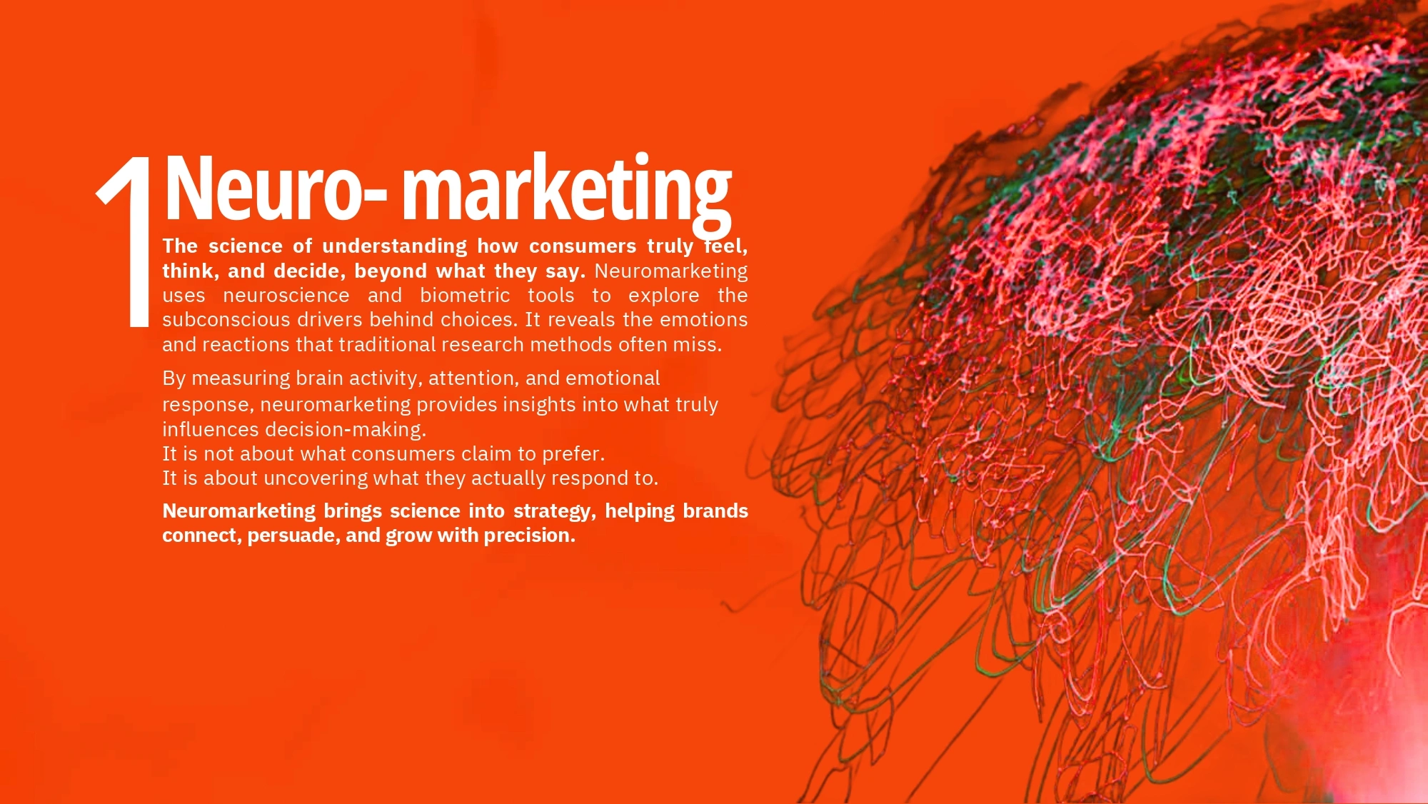 Sparkitt Culture Photo 5