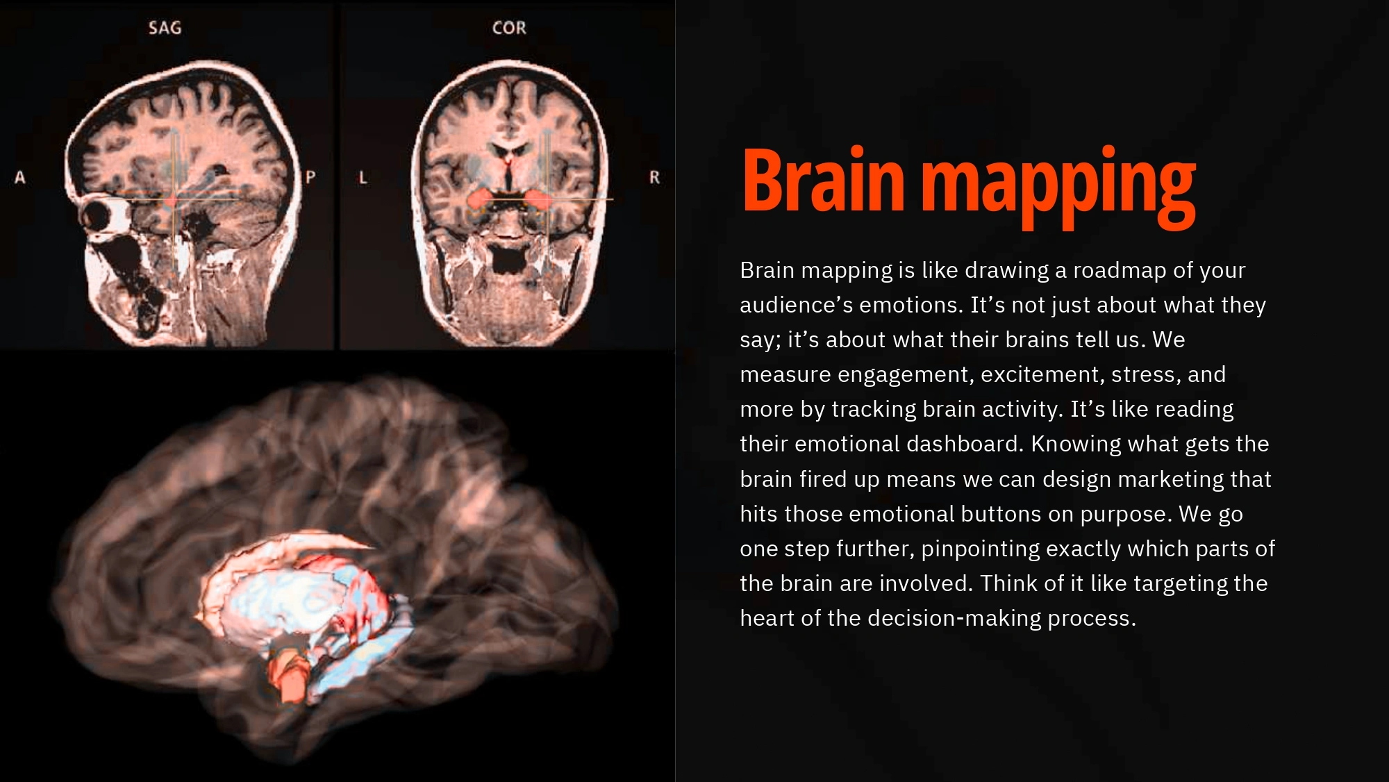 Sparkitt Culture Photo 8